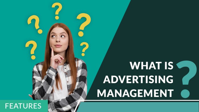 Advertising campaign management